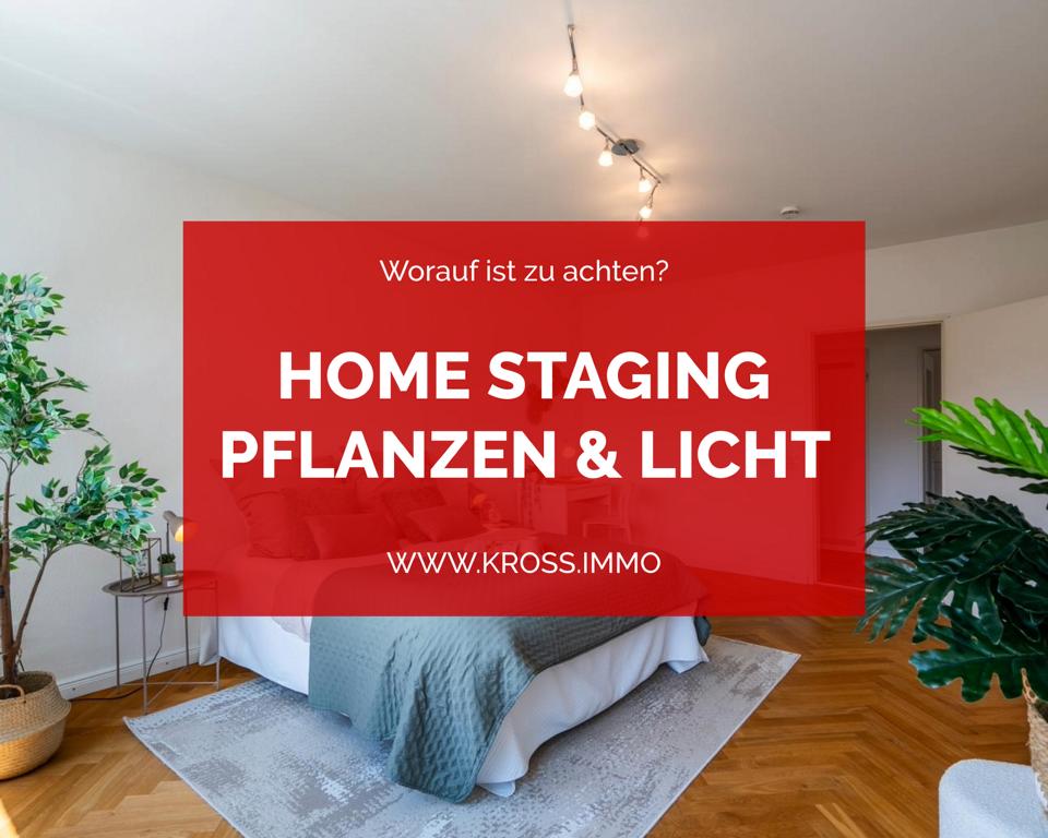 Home Staging wie wichtig sind Pflanzen und Licht KROß IMMOBILIEN Immobilienmakler in Freiburg und Region